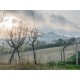 SMALL FARMHOUSE TO RENOVATE FOR SALE in Fermo in the Marche region in Italy in Le Marche_17